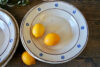 Provincial Italian Ceramic Dishes